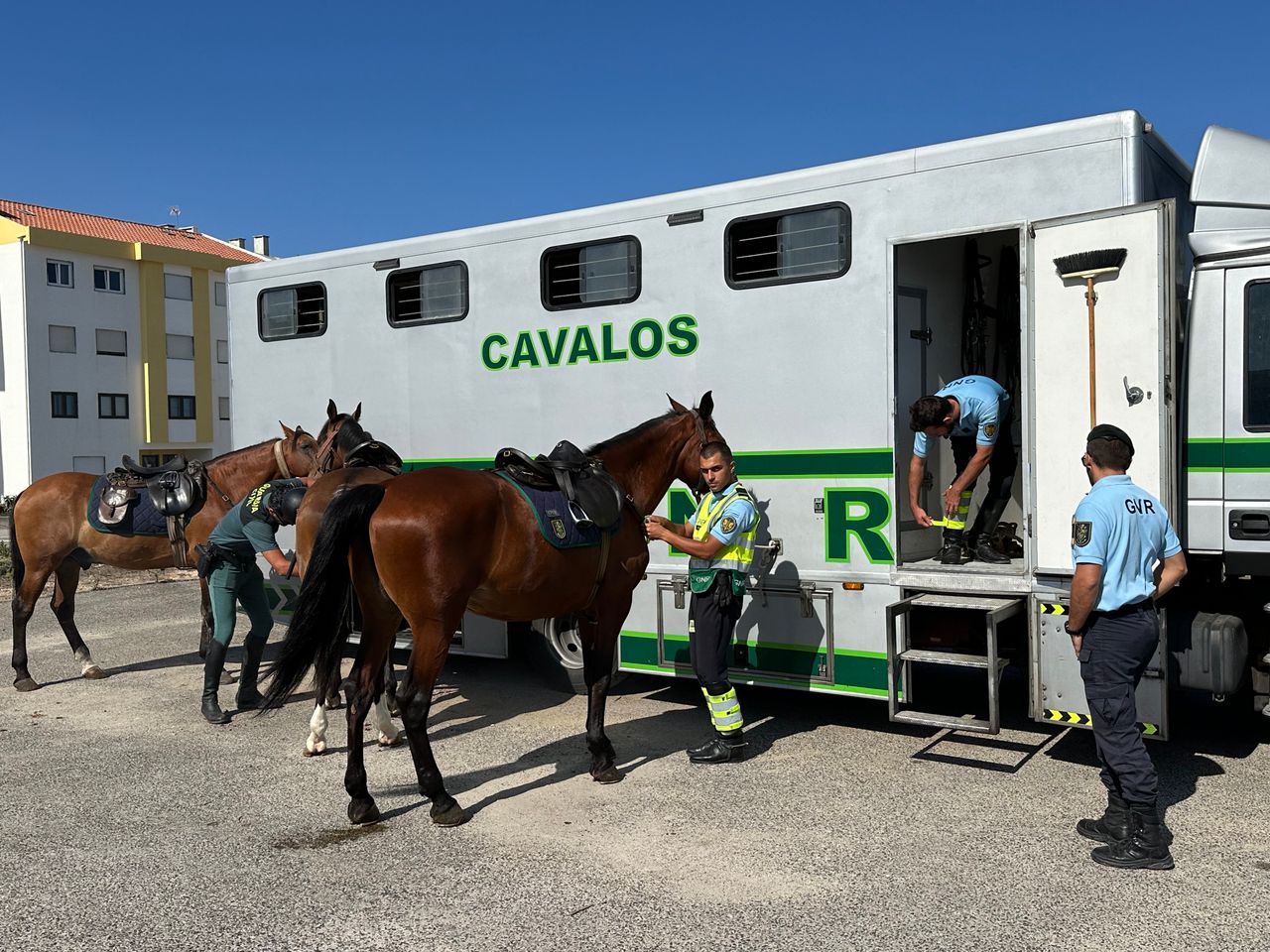 Le spécialiste du transport de chevaux