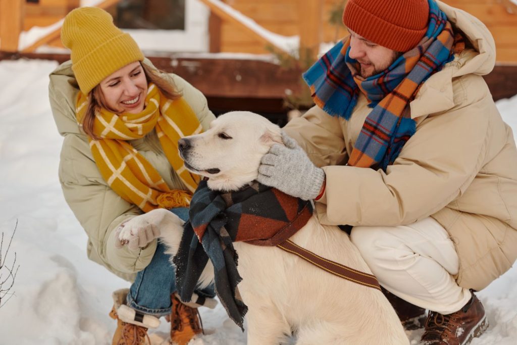 découvrez nos conseils pour acheter un chien et choisir la race idéale selon votre mode de vie. guide complet pour bien sélectionner votre futur compagnon à quatre pattes.