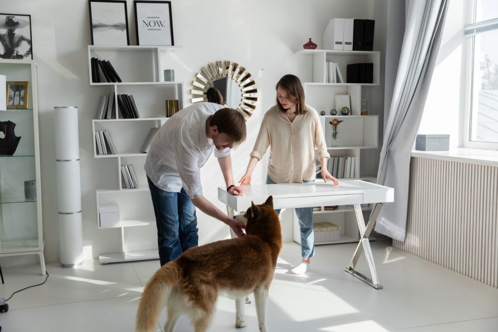 découvrez nos conseils pour bien choisir la race de chien qui correspond à votre mode de vie. taille, caractère, besoins : trouvez le compagnon idéal avant d'acheter un chien.